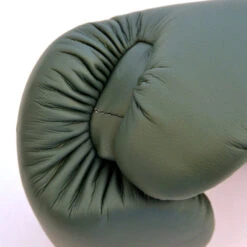 FAIRTEX BOXING GLOVES F-DAY BGV11 LIMITED EDITION -Boxing Club Store FAIRTEX BOXING GLOVES F DAY1