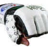 MUAY THAI MMA GLOVES FAIRTEX SPLIT KNUCKLES FGV17 - WHITE / BLACK