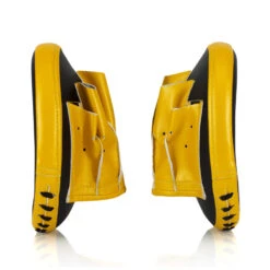 Fairtex Focus Mitts / Pro Speed / FMV15 -Boxing Club Store FTX FMV 15 2