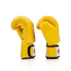 FAIRTEX BOXING GLOVES DELUXE TIGHT-FIT BGV19 - GOLD 6 FAIRTEX BOXING GLOVES DELUXE TIGHT-FIT BGV19 - GOLD -Boxing Club Store Fairtexboxingglovesbgv19gold 3