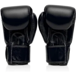 Fairtex BGV1 Muay Thai Boxing Glove - Solid Colors