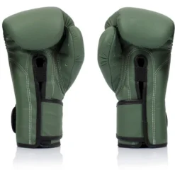 Fairtex BGV11 F Day Muay Thai Boxing Glove