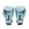 Fairtex BGV20 Pastel Blue Muay Thai Boxing Glove