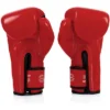 Fairtex BGV14 Red Muay Thai Boxing Gloves
