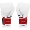 Fairtex Thai Pride BGV1 Muay Thai Boxing Glove