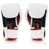 Fairtex BGV1 White/Black/Red Muay Thai Boxing Glove