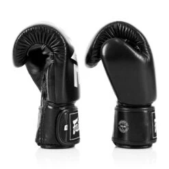 BGV1 Fairtex X ONE Championship Black Boxing Gloves 6 BGV1 Fairtex X ONE Championship Black Boxing Gloves -Boxing Club Store bgv1 fairtex x one championship black boxing gloves 691834