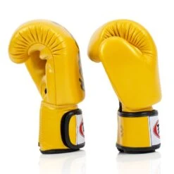 BGV19 Fairtex Gold Deluxe Tight-Fit Gloves -Boxing Club Store bgv19 fairtex gold deluxe tight fit gloves 598106