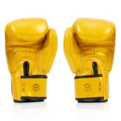 BGV19 Fairtex Gold Deluxe Tight-Fit Gloves -Boxing Club Store bgv19 fairtex gold deluxe tight fit gloves 836256