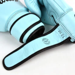 MUAY THAI BOXING GLOVES FAIRTEX PASTEL BLUE - BGV20 -Boxing Club Store boxingglovesfairtexBGV20 light blue7