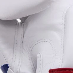 Fairtex Boxing Gloves - BGV1 Thai Pride -Boxing Club Store fairtex boxing gloves bgv1 thai pride 149671