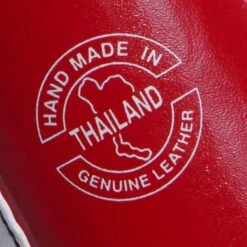 Fairtex Boxing Gloves - BGV1 Thai Pride -Boxing Club Store fairtex boxing gloves bgv1 thai pride 871987