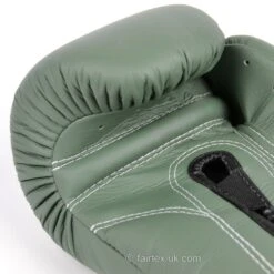 Fairtex Boxing Gloves - BGV11 F-Day -Boxing Club Store fairtex boxing gloves bgv11 f day 883334