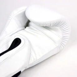 Fairtex X Glory Velcro Boxing Gloves - White -Boxing Club Store fairtex x glory velcro boxing gloves white 228108